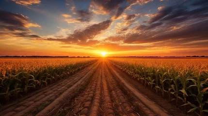 Foto op Canvas  a corn field with the sun setting in the background and clouds in the sky.  generative ai © Anna