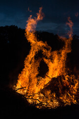 Brush bonfire 