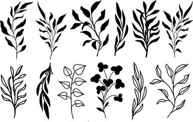 Branches with leaves, freehand drawing set, with black stroke