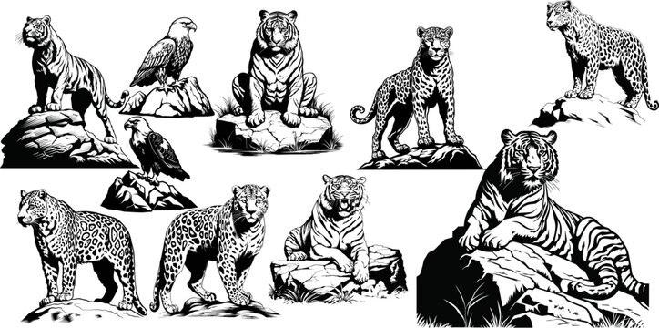 Set of hand drawn sketch style big cats and eagle. Vector illustration isolated on white background ai generated image