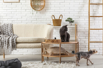 Cute small Yorkshire terrier dog and British cat in living room at home