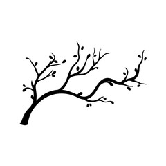 branch illustration