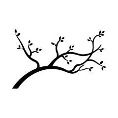 branch illustration