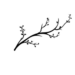 branch illustration