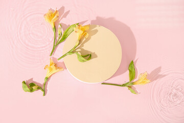 Composition with plaster podium and beautiful alstroemeria flowers in water on pink background