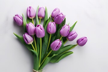 Purple Tulip Bouquet on White Background