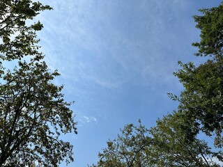 Light blue sky with clouds