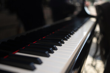 Close-up black grand piano keys