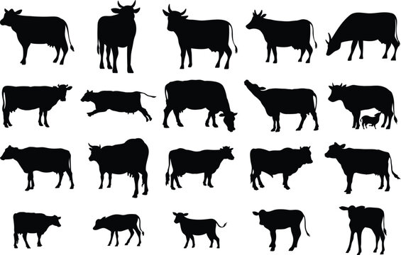 Set of cow silhouette, isolated vector on white background