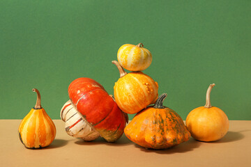 Different fresh pumpkins on colorful background