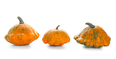 Fresh pumpkins on white background