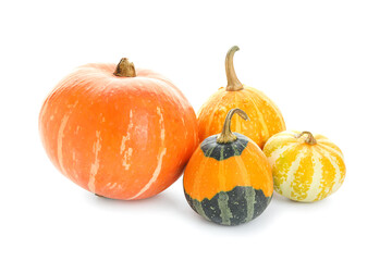 Different fresh pumpkins on white background