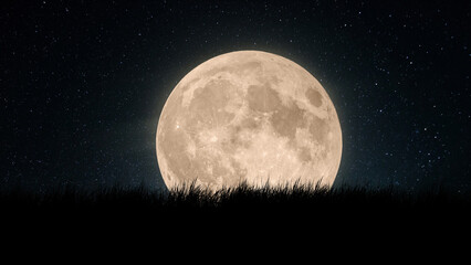 Big amazing full moon with grass and starry sky - obrazy, fototapety, plakaty