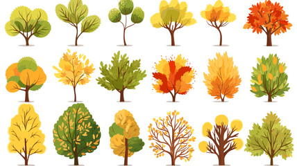 autumn trees, set of vector illustrations of cute trees and shrubs: oak, birch, aspen, linden, fir, sun and dog, different shapes of trees in autumn colors. Isolated on white background.