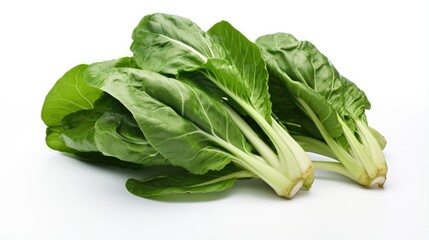 Image of fresh and bright Chinese bok choy leaves.