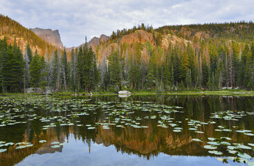 Nymph Lake at sunset, Rocky Mountain National Park, Colorado. Set in Rocky Mountain National Park, this scenic high-altitude lake is popular for day hikes.