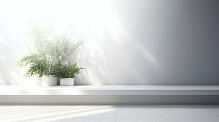 Background of Sunbeams shining on Plant