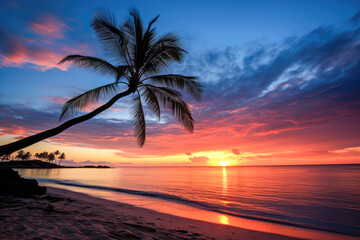 Silhouette of palm tree on the beach at beautiful sunset.