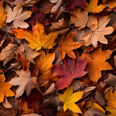 Vibrant autumn leaves in various shades of red, orange, and yellow, carpeting the forest floor. 