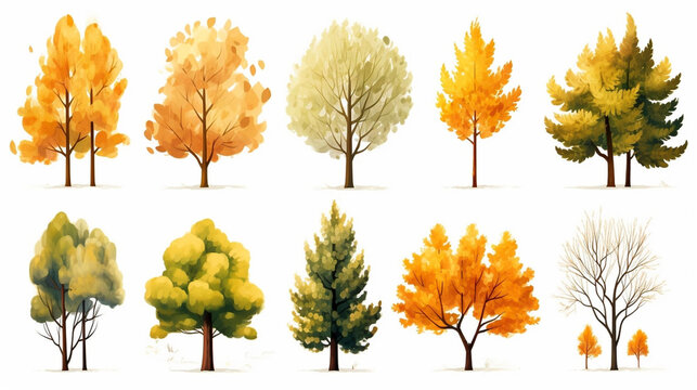 autumn trees, set of illustrations of cute trees and shrubs: oak, birch, aspen, linden, fir, sun and dog, different shapes of trees in autumn colors. Isolated on white background.