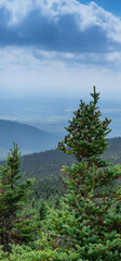 mountain landscape in the Canadian forest in the province of Quebec