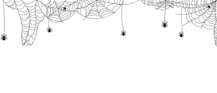 Spiderweb template with spiders for Halloween banner design. Abstract texture of insect traps. Isolated graphic template. Vector illustration.