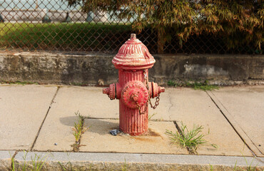 fire hydrant is a vital urban sentinel, standing ready to combat flames with its vibrant red hue....