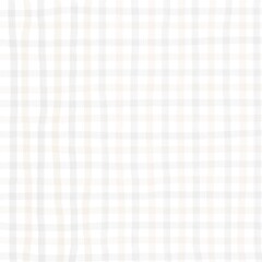 Gray Beige Gingham Check Hand Drawn Background