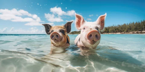 Foto op Canvas Pigs swimming in the sea capture the essence of a tropical vacation, showcasing an unusual yet dreamy travel destination with clear waters, sunny beaches, and the whimsical nature of a paradise island © Karat