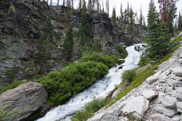 Kings Creek, Upper cascades stream in the woods at Lassen Volcanic National Park, California