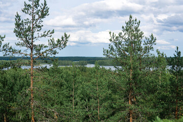 natural landscape with forest and lakes, aerial view