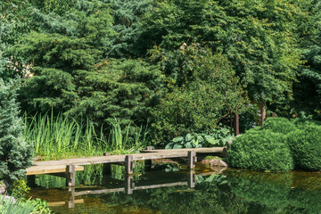 japanese garden with a zigzag bridge over a pond