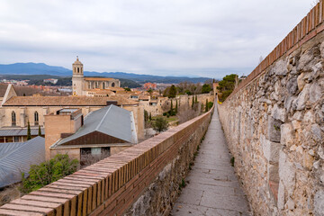Fototapeta na wymiar Girona Cathedral in Girona, Catalonia, Spain