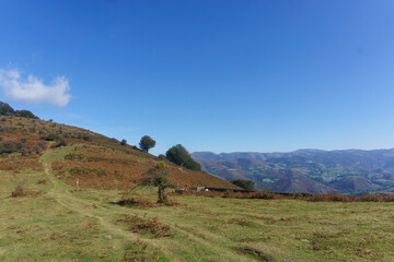 Beautiful basque countryside with meadow on the hill at the spanish french border near Beartzun,...