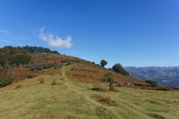 Beautiful basque countryside with meadow on the hill at the spanish french border near Beartzun, Navarre, Spain