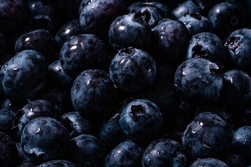 Lots of fresh blueberries together