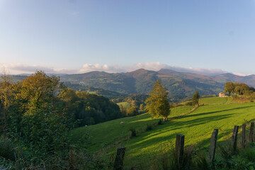 Obraz premium Beautiful landscape with meadow and hills in the Pyrenees Mountains of the Basque Country near Elizondo, Navarre, Spain