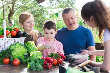 Cheerful family of four breezily chatting at wooden table in garden on summer day happy with rich harvest of vegetables.