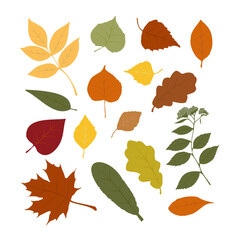 A set of stylized tree leaves. Collection of falling autumn leaves.