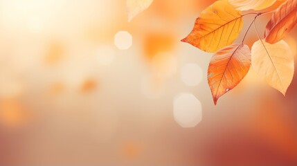 Naklejka na ściany i meble Blurred Autumn background with yellow leaves background, generative ai