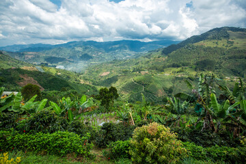 Fototapeta na wymiar Mountainous landscape of southwestern Antioquia with mountains full of coffee plants