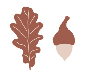 Oak leaf and acorn illustration. Hand drawn autumn season elements - 645121523