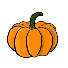 pumpkin isolated on white background
