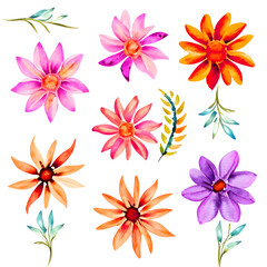 Colorful Watercolor Flowers And Leaves Collection