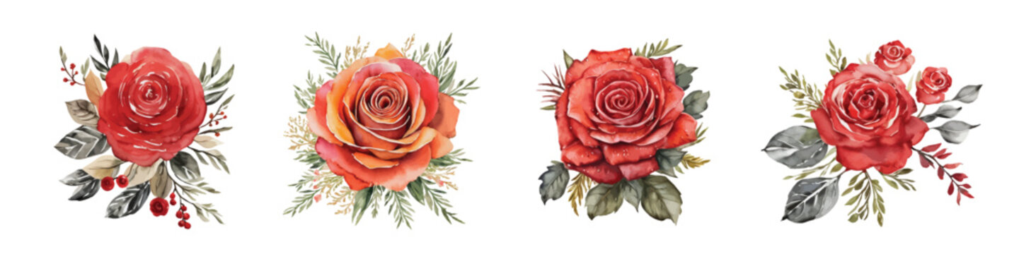 Set of red watercolor roses.  Botanic illustration of beautiful flowers