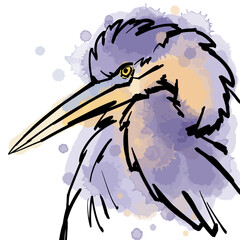 Watercolor and line art vector illustration of portrait of Grey heron