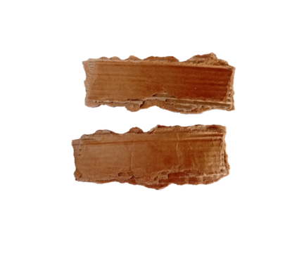 old torn cartoon paper on white