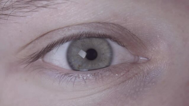 Neurons inside the head, inside eyes