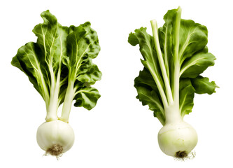 Kohlrabi Isolated on Transparent Background - PNG File