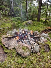 Rond de feu dans un foret humide.